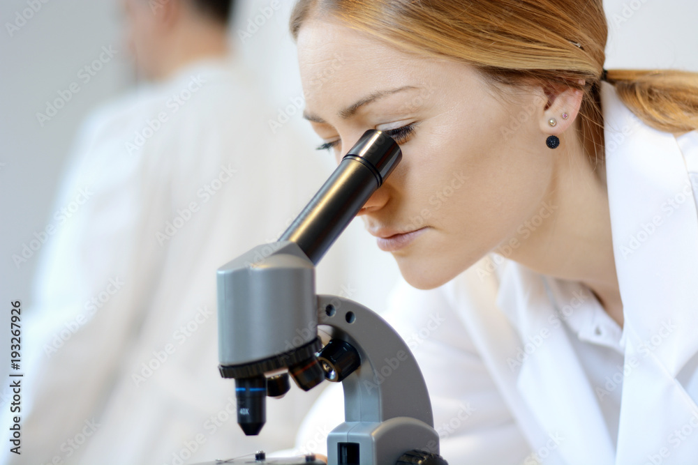 Arzt oder Wissenschaftler bei Untersuchung und Auswertung mit Mikroskop Arzt oder Wissenschaftler bei Untersuchung und Auswertung mit Mikroskop