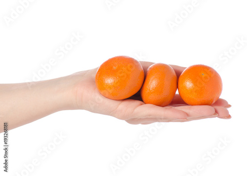 Mandarines in hands