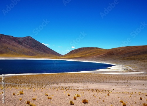 Lagunas Altiplanicas, Chile photo
