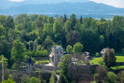 Wallpaper Mural The castle is in the middle of the forest. Torontodigital.ca