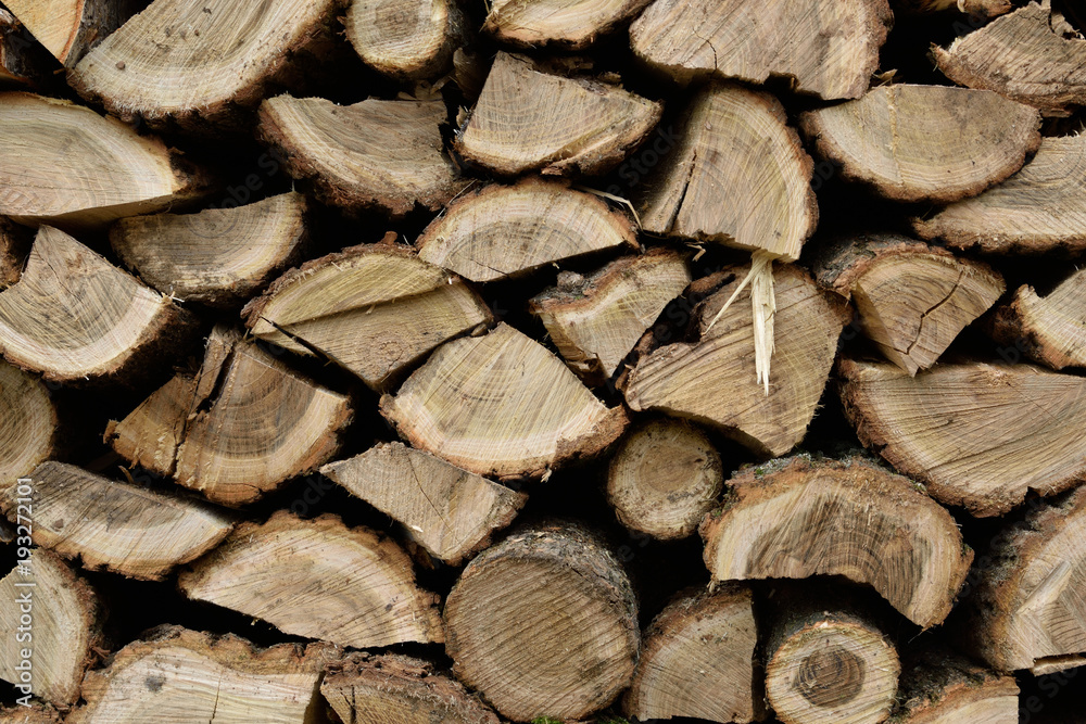 Fototapeta premium A lot of dry chopped firewood is stacked in the period of preparation for the furnace chopped logs for winter fire