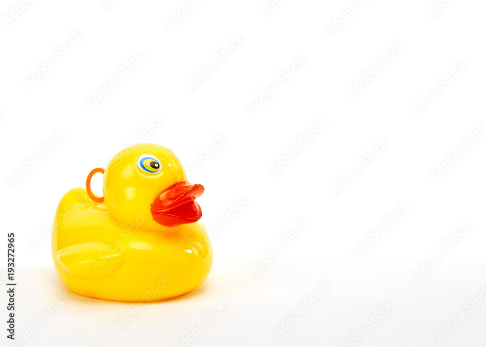 yellow bath duck on white background