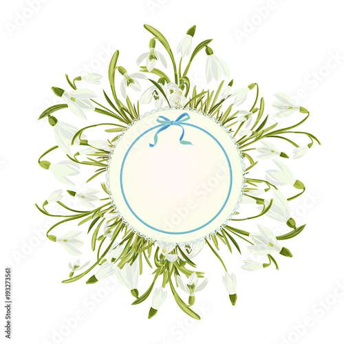 Spring floral abstract template background with Snowdrop flower and place for text