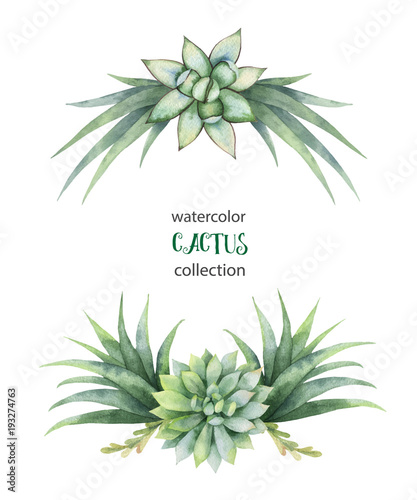 Watercolor vector wreath of cacti and succulent plants isolated on white background.