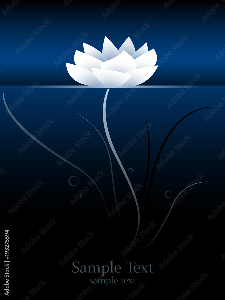 lotus plant underwater