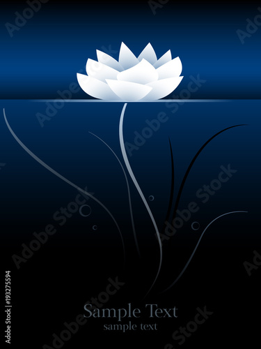 lotus flower or water lily on water surface, underwater perspective stylized vector