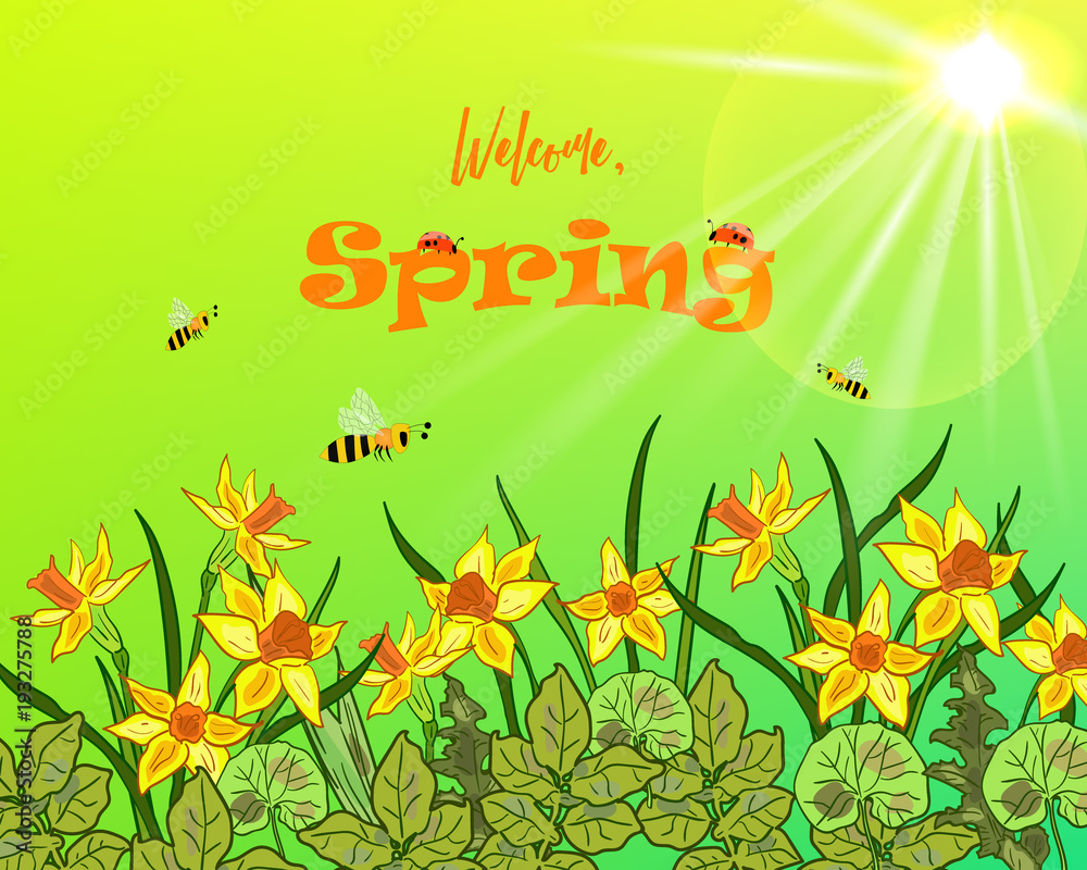 Hand drawn horizontal vector spring background with daffodils, sun, sunrays, bugs and bees .