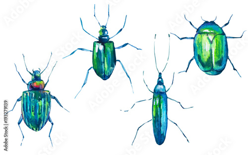 Watercolor set of green beetles. 