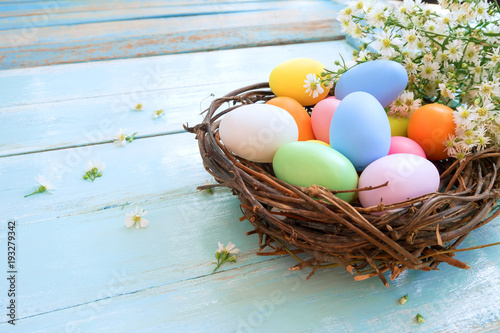 Colorful Easter eggs in nest with flowers on blue wooden background.  Easter holiday in spring season, top view with composition.