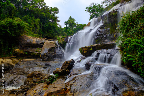 Water fall scenery wildlife at Doi Inthanon, Chiang Mai Province, Thailand