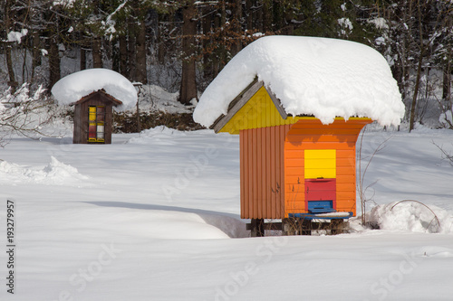 Bee hive in winter - beehive house covered with fresh snow, agriculture, apiculture, colorful, beautiful, art work, wood beehive