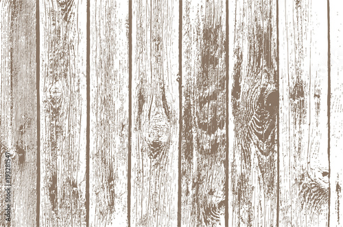 Texture of wooden panels