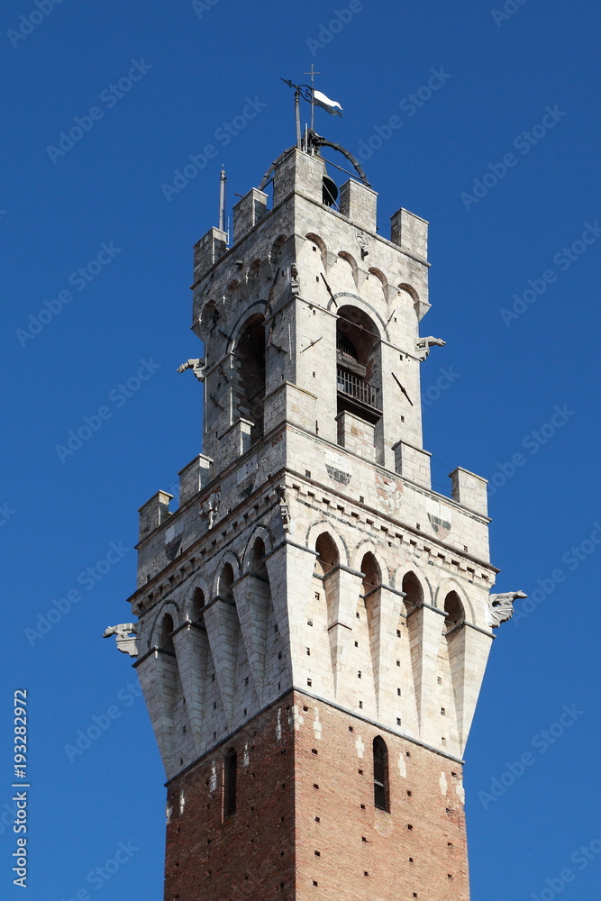 Torre del Mangia - Palazzo Comunale - Siena