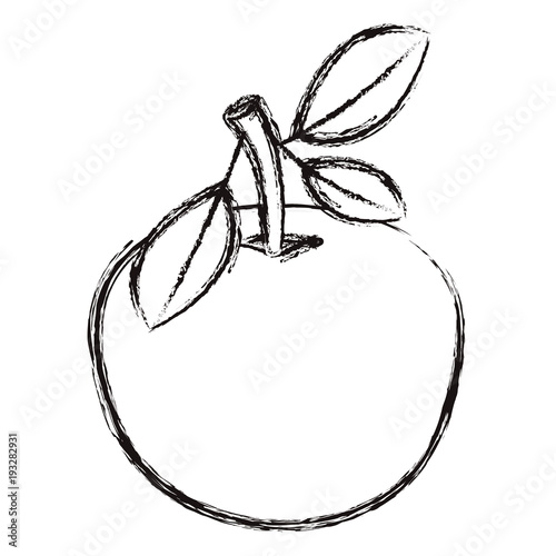 orange fresh and citrus fruit vector illustration design