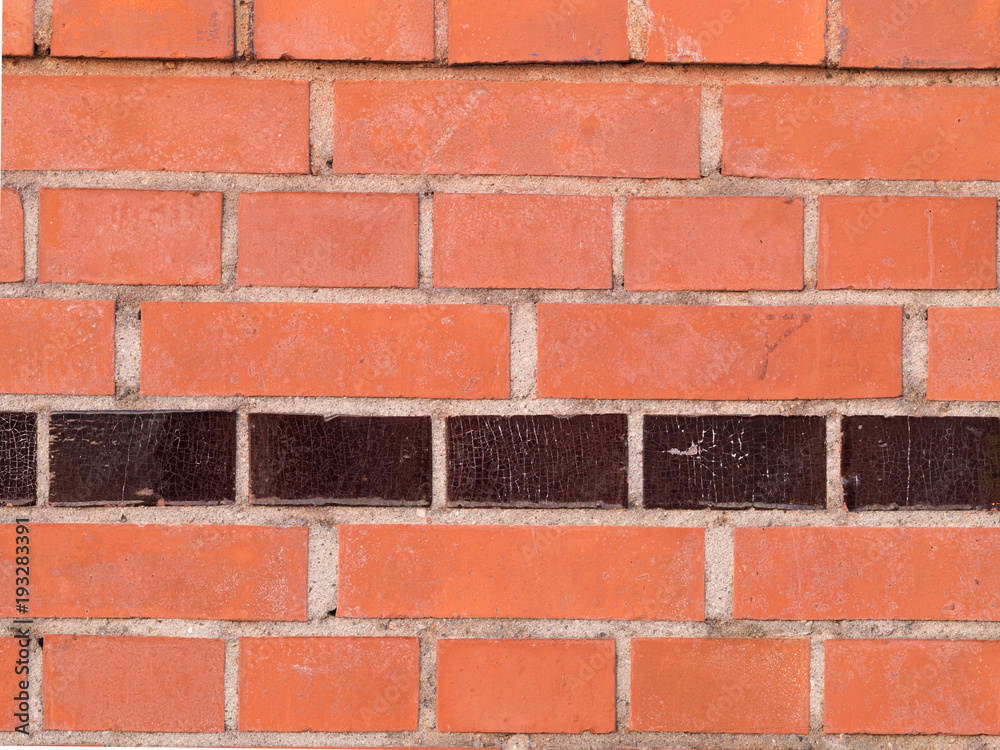 Obraz premium OLYMPUS DIGITAL CAMERA