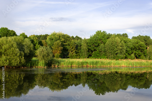 Beautiful summer embankment. Mirror reflection of a summer park in the water s surface. Warm summer day.