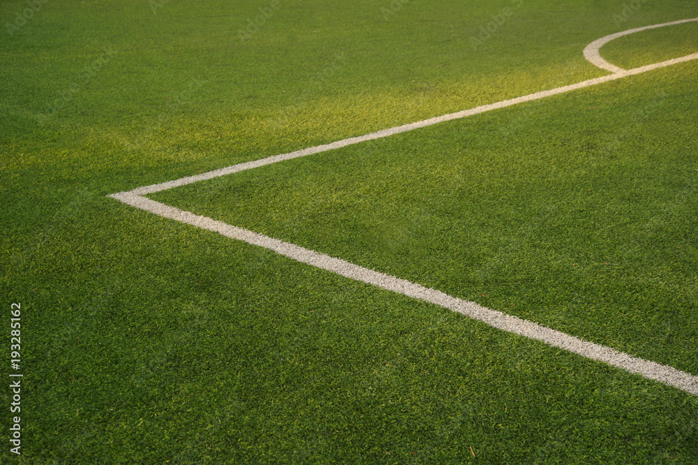 green texture of football or soccer field with white corner line background