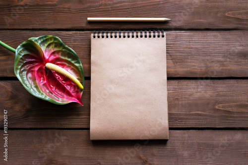 Artificial Anthurium flower and Notepad for records on wooden background. Male power in the flower.