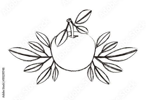 orange with leafs fresh and citrus fruit vector illustration design