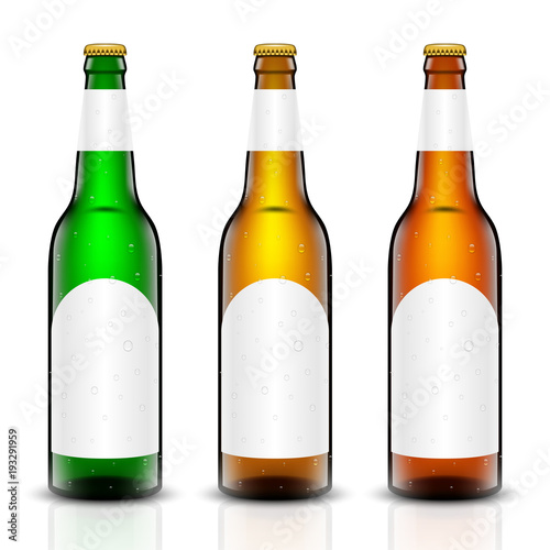 Beer bottle vector set.