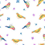 Watercolor seamless pattern with birds