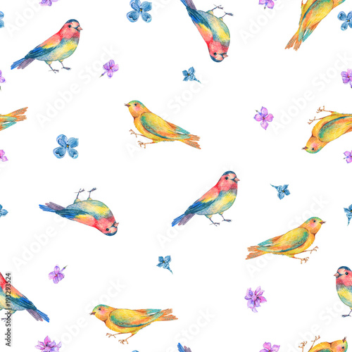 Watercolor seamless pattern with birds © depiano