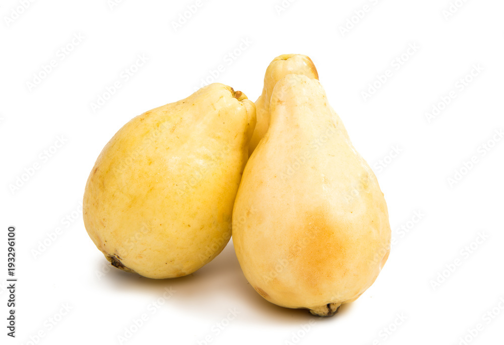 fruit guava isolated fruit guava isolated