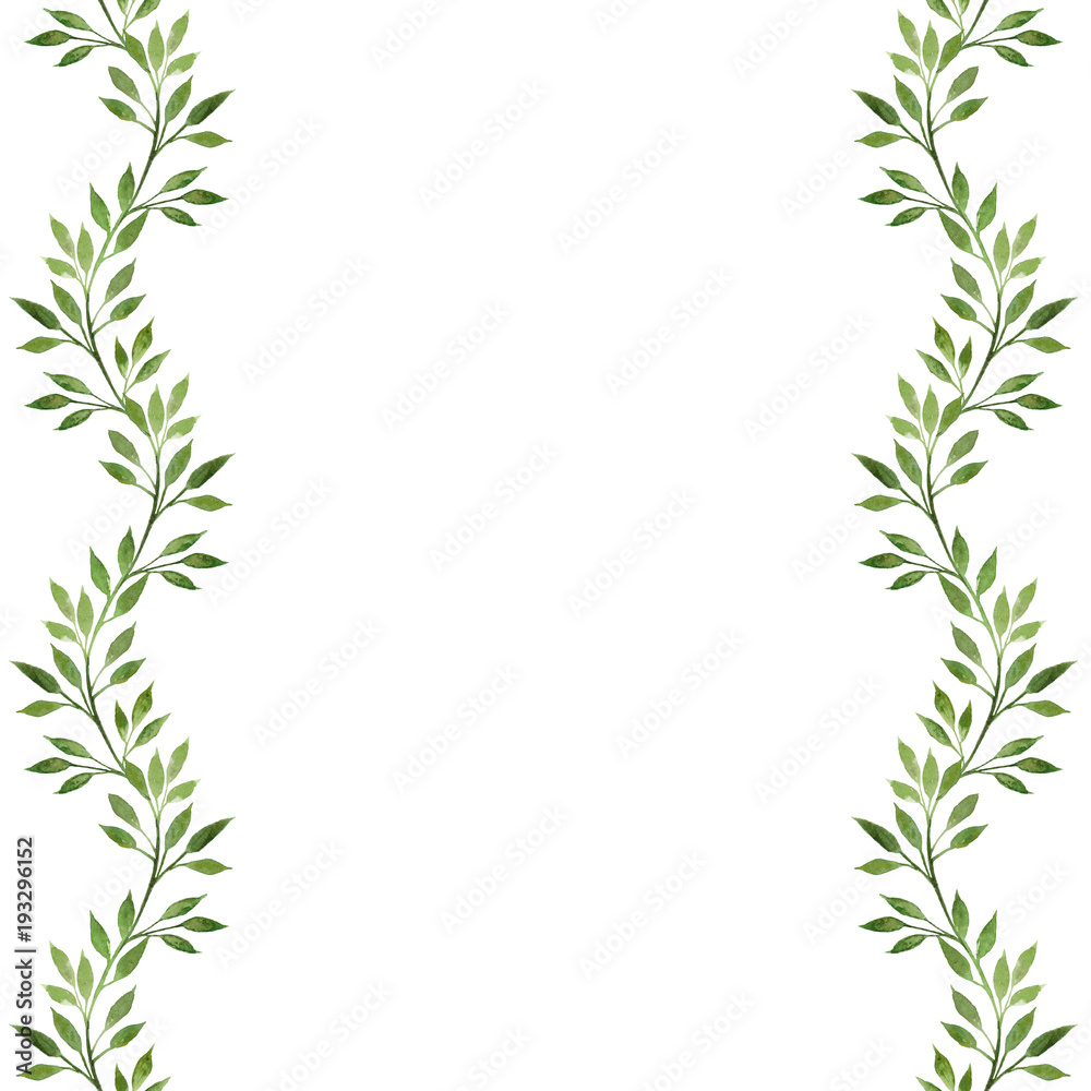  Watercolor hand drawn illustration isolated on white background. Spring branches.