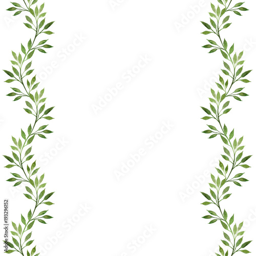  Watercolor hand drawn illustration isolated on white background. Spring branches.