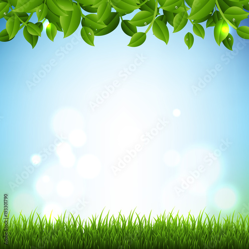 Spring Banner With Green Branches And Grass