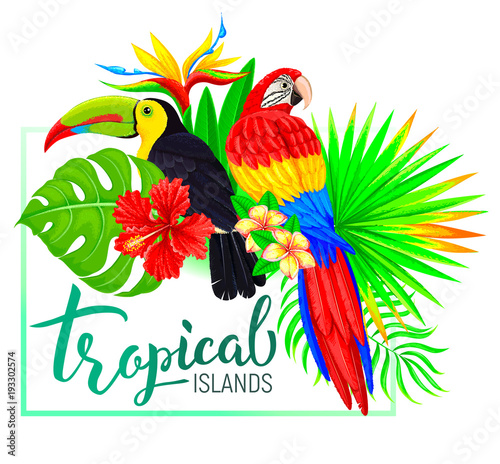 Tropical island composition with toucan parrot leaves flowers