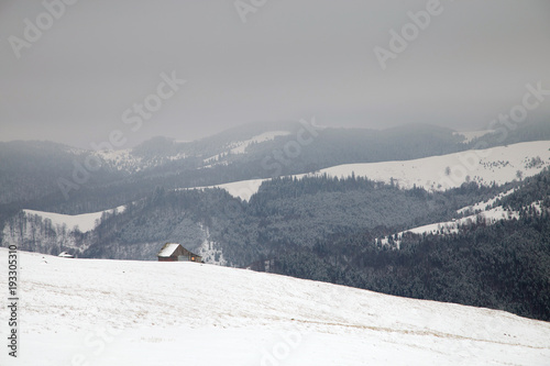 Winter landscape at Rasinari - Paltinis, Sibiu photo