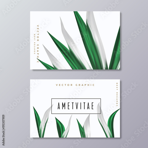 Business Card template with tropical palm leaves. Floral greenery design.