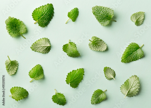 Mint leaf pattern on pastel background. Variation of peppermint leaves viewed from above. Top view