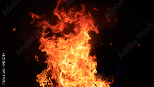 Fire with colorful flames on black background. Close up view with details, banner, space for text.
