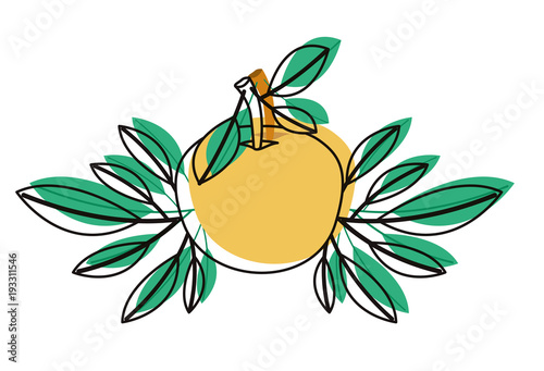 orange with leafs fresh and citrus fruit vector illustration design