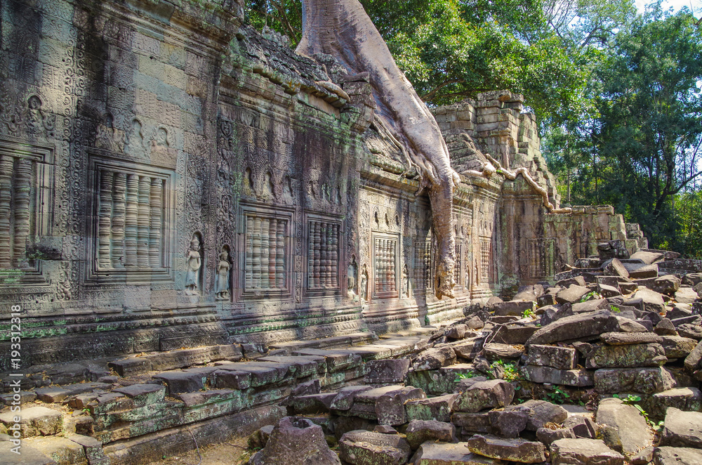 Fototapeta premium Tree growing out of the Preah Khan temple ruins. Silk-cotton tree (Ceiba pentandra) or thitpok Tetrameles nudiflora, with roots of a spung running along the gallery. Cambodia, Siem Reap, Angkor