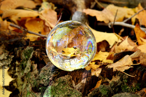 A glass orb with Autumn season view