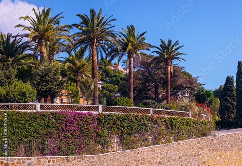 luxury mediteranian garden