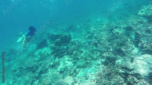 Underwater Colorful Fishes and Corals at the Beautiful Tropical Island of Maldives in Indian Ocean With Diver In The Background 