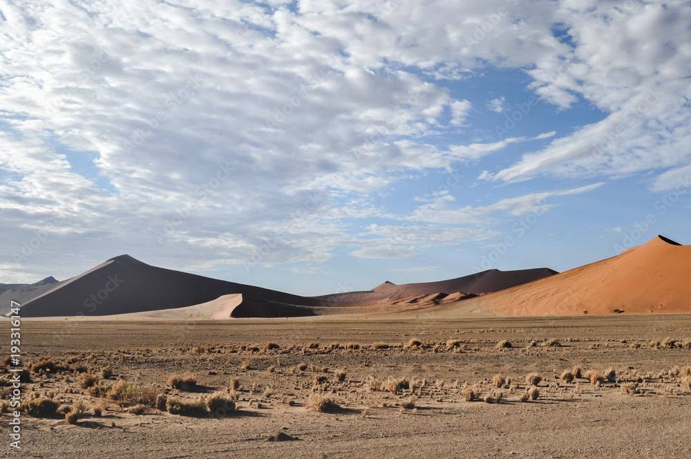 Desert Shapes 