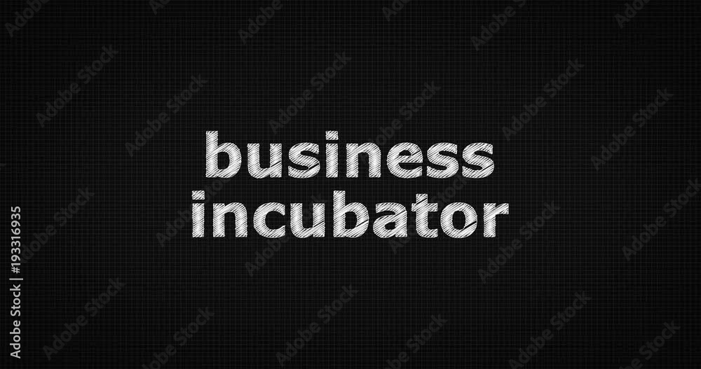 Writing or sketching a word BUSINESS INCUBATOR Writing or sketching a word BUSINESS INCUBATOR