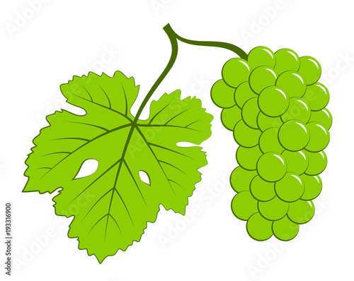 grape with leaf