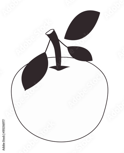 orange fresh and citrus fruit vector illustration design
