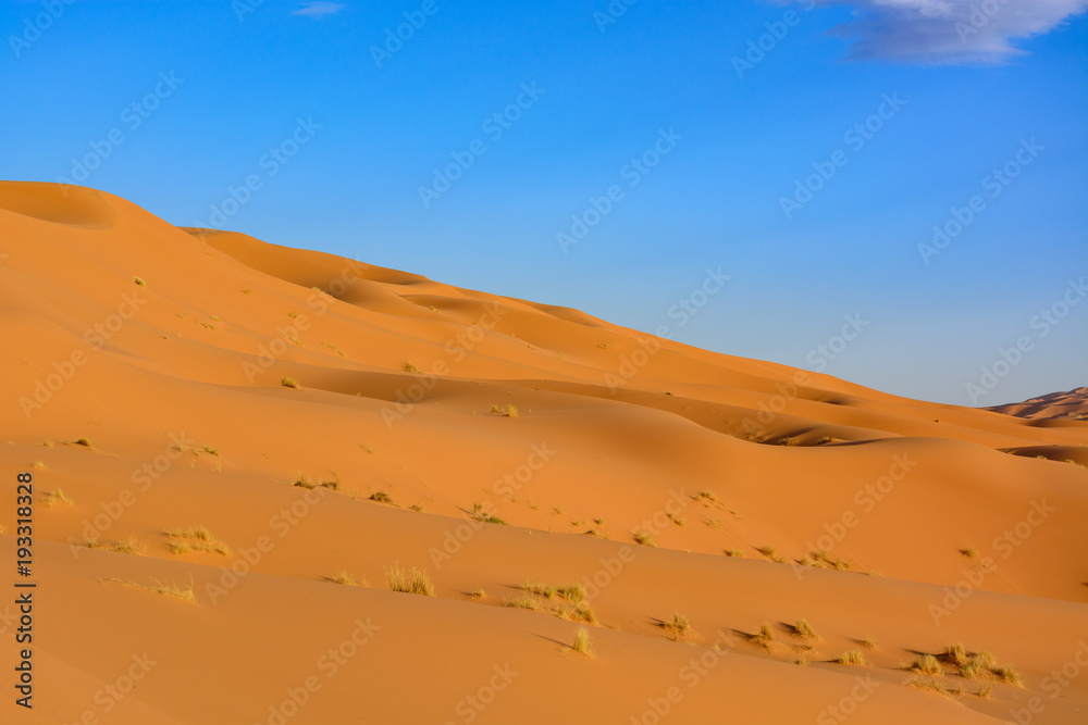 Sahara Desert, Erg Chebi dunes. Merzouga, Morocco