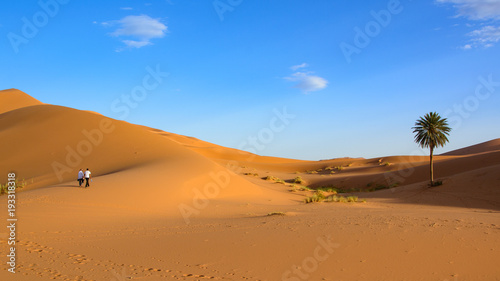 Sahara Desert  Erg Chebi dunes. Merzouga  Morocco