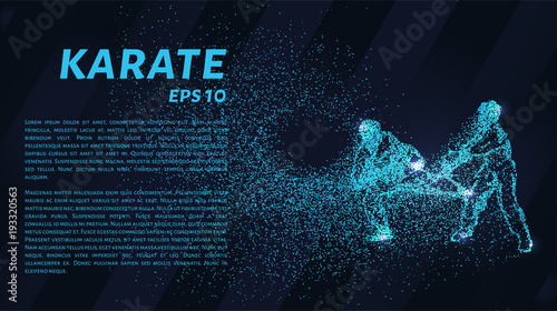 Karate of particles. The karate consists of dots and circles. Blue karate on a dark background.