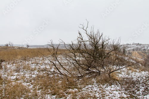 Wallpaper Mural Taurian snow-covered steppe in winter Torontodigital.ca