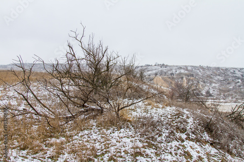 Wallpaper Mural Taurian snow-covered steppe in winter Torontodigital.ca