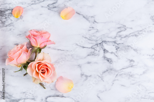 three peach colored roses with petals on a marble background photo